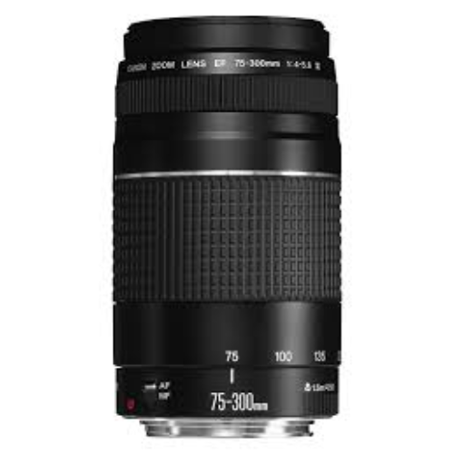 Canon Camera Lens 75-300MM