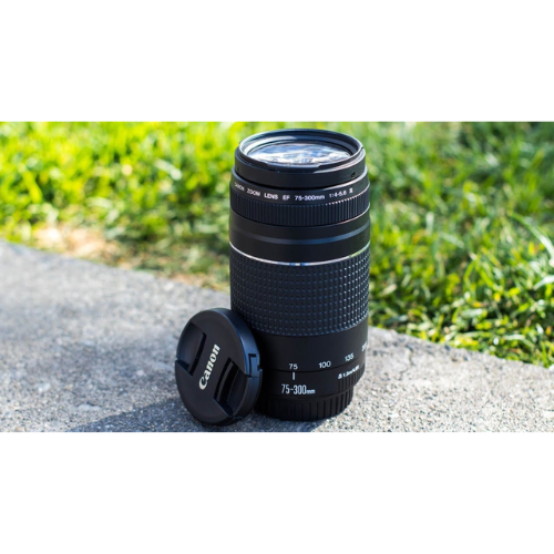 Canon Camera Lens 75-300MM