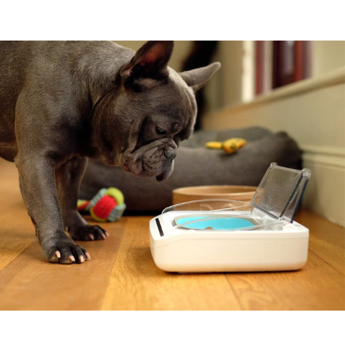 Sealed smart pet bowl