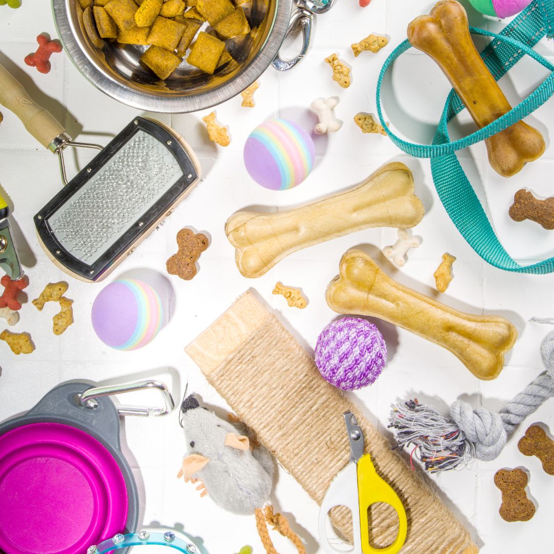 Pet Accessories